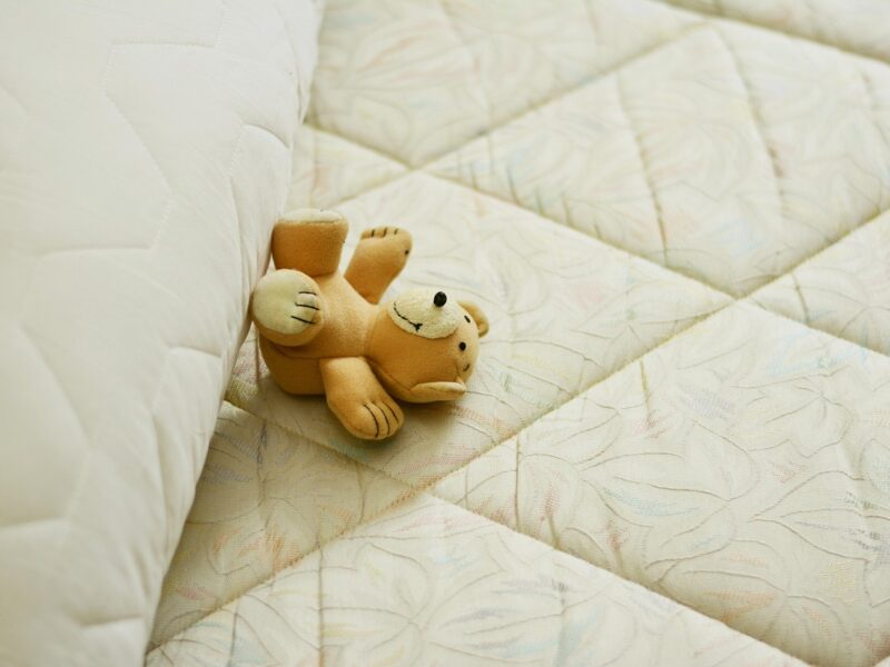 mattress, bed, pillow, sleep, relax, relaxation, rest, place to sleep, bedding, lie, teddy, bedroom, mattress, mattress, mattress, mattress, mattress
